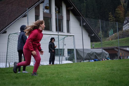 IMG 2534